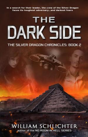 Cover of the book The Dark Side by Robyn Walters