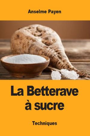 Cover of the book La Betterave à sucre by Anselme Payen