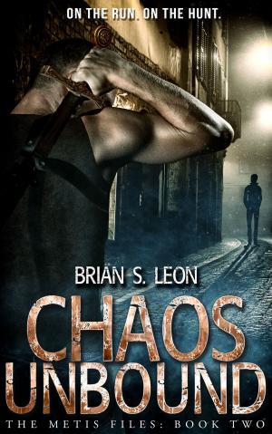 Cover of the book Chaos Unbound by Erica Lucke Dean