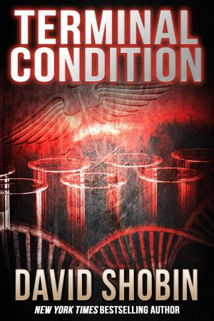 Cover of the book Terminal Condition by Melissa Scott, Jo Graham, Keith R.A. DeCandido