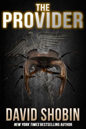 Cover of the book The Provider by David Niall Wilson, Patricia Macomber