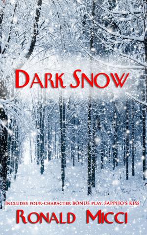 Book cover of Dark Snow