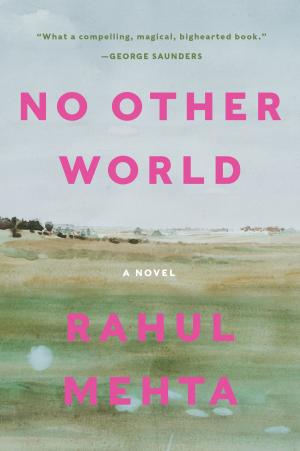 Cover of the book No Other World by Walter Scott
