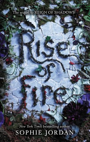 bigCover of the book Rise of Fire by 