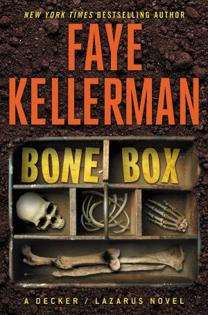 Cover of the book Bone Box by Joe Hill