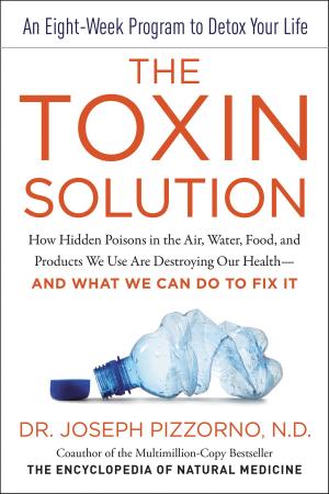 Cover of the book The Toxin Solution by Anne Wilson Schaef