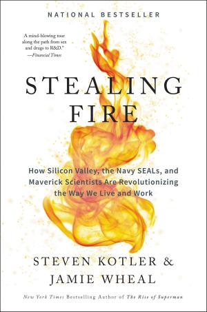 Cover of the book Stealing Fire by Kate Harris