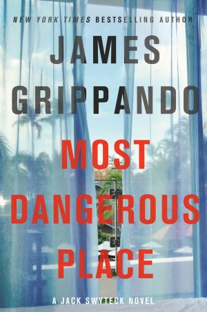 Book cover of Most Dangerous Place