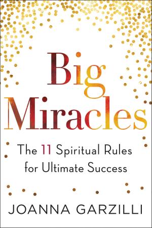 Cover of the book Big Miracles by Elsinore Books