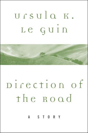 Cover of the book Direction of the Road by R.J. Hernández