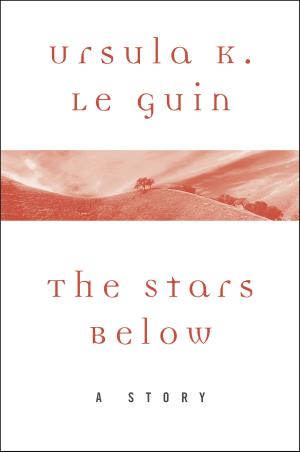 Cover of the book The Stars Below by Liberty Gilmore