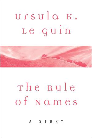 Book cover of The Rule of Names