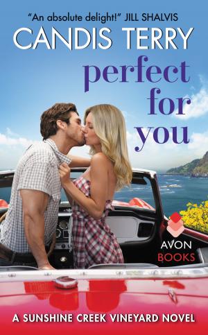 Cover of the book Perfect for You by Christine Feehan