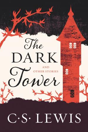 Cover of the book The Dark Tower by Peter Enns