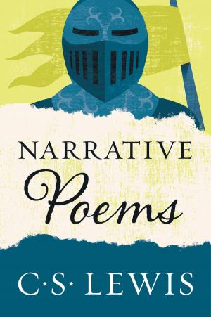 Cover of the book Narrative Poems by DONNA PERUGINI