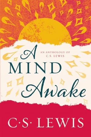 Book cover of A Mind Awake