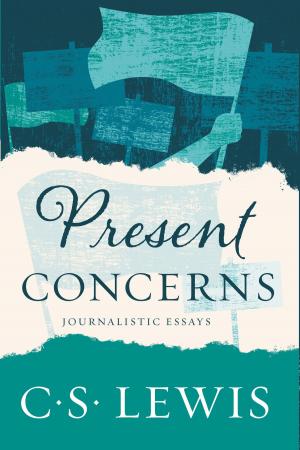 Cover of the book Present Concerns by Shimon Gibson