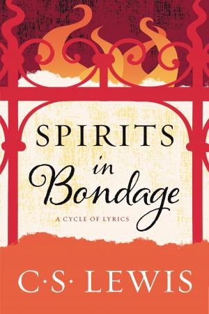 Book cover of Spirits in Bondage