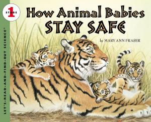 Cover of the book How Animal Babies Stay Safe by Jane O'Connor