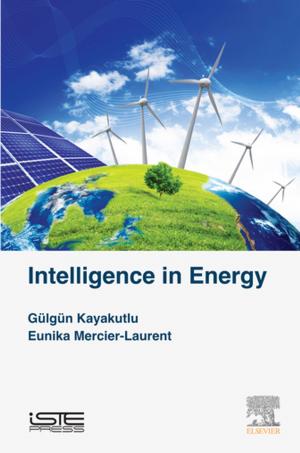 Book cover of Intelligence in Energy