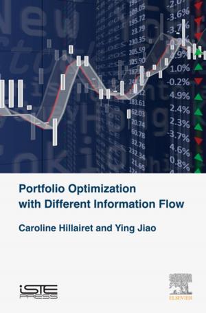 Book cover of Portfolio Optimization with Different Information Flow