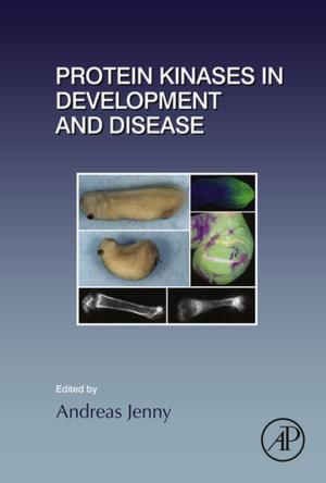 Book cover of Protein Kinases in Development and Disease