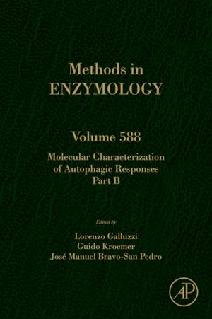 Cover of the book Molecular Characterization of Autophagic Responses Part B by Nicolas Baghdadi, Mehrez Zribi