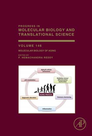 Cover of the book Molecular Biology of Aging by Anders Bjorklund, Stephen B. Dunnett
