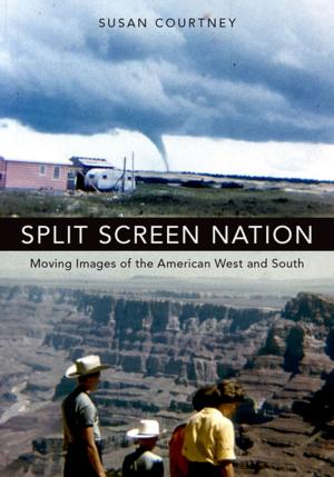 bigCover of the book Split Screen Nation by 