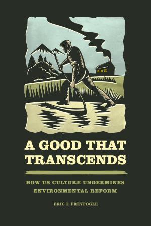 Cover of the book A Good That Transcends by Bernd Stiegler