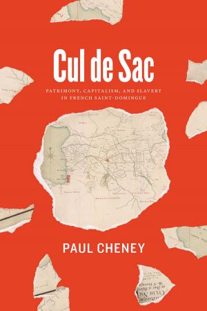 Cover of the book Cul de Sac by Lilia Fernández