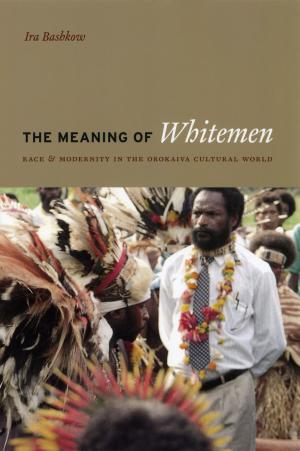 Cover of the book The Meaning of Whitemen by Simone C. Drake