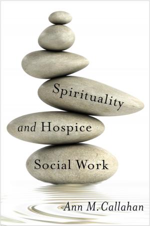 Cover of the book Spirituality and Hospice Social Work by Barbara Mensch