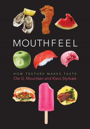 Cover of the book Mouthfeel by Vazira Fazila-Yacoobali Zamindar