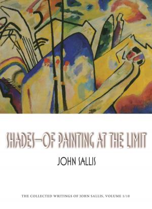 Cover of the book Shades—Of Painting at the Limit by Colin Burnett