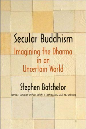 Cover of the book Secular Buddhism by David J. Wasserstein