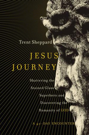 Cover of the book Jesus Journey by Larry Crabb