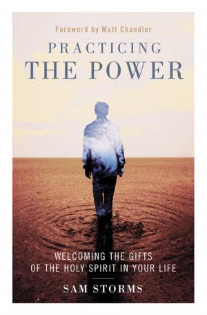 Cover of the book Practicing the Power by Zondervan