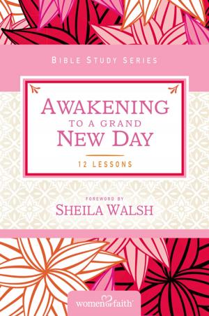 Book cover of Awakening to a Grand New Day