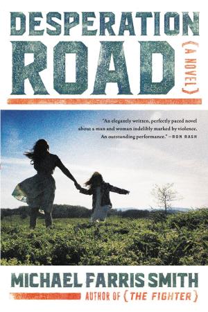 Book cover of Desperation Road