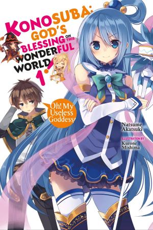 Book cover of Konosuba: God's Blessing on This Wonderful World!, Vol. 1 (light novel)