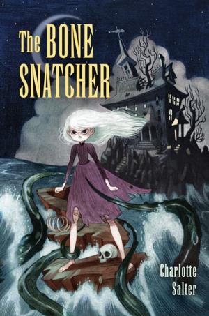 Cover of the book The Bone Snatcher by Leslie Helakoski