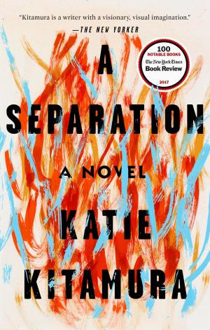 Cover of the book A Separation by Shannon K. Butcher