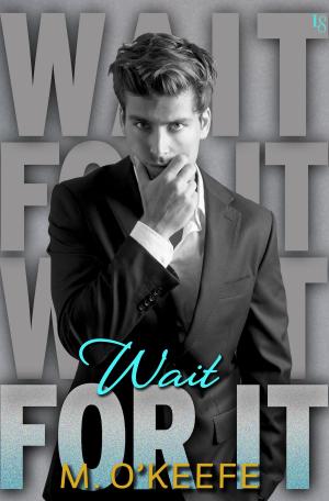 Cover of the book Wait for It by Alyssa Katz