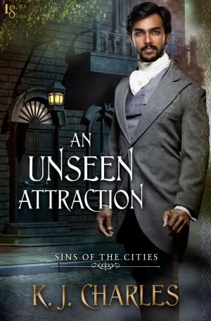 bigCover of the book An Unseen Attraction by 