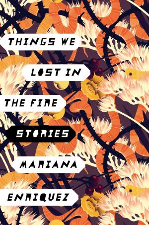 bigCover of the book Things We Lost in the Fire by 