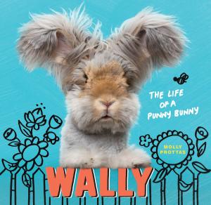 Cover of the book Wally by Sheila Brice