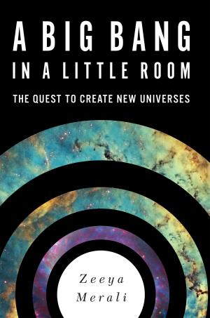 Cover of the book A Big Bang in a Little Room by Wil Mccarthy
