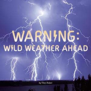 Cover of the book Warning: Wild Weather Ahead by Ann Dee Ellis