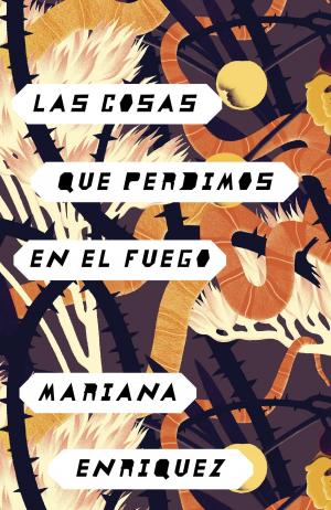 Cover of the book Las cosas que perdimos en el fuego by Evie Wyld